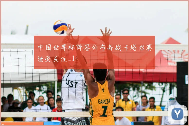 中国世界杯阵容公布备战卡塔尔赛场受关注_1