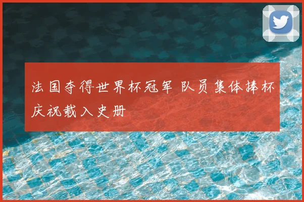 法国夺得世界杯冠军 队员集体捧杯庆祝载入史册