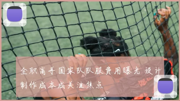 全职高手国家队队服费用曝光 设计制作成本成关注焦点