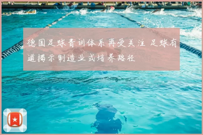 德国足球青训体系再受关注 足球有道揭示制造业式培养路径