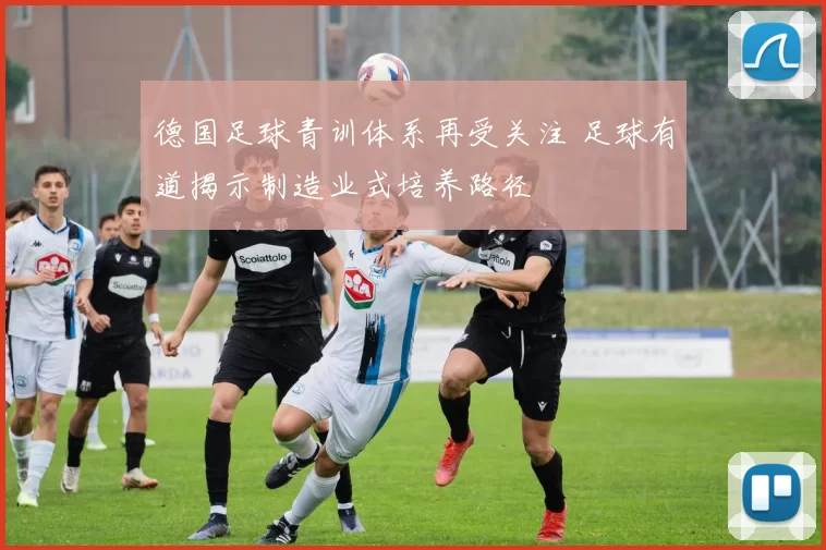 德国足球青训体系再受关注 足球有道揭示制造业式培养路径